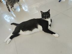 -平行世界·猫咖(首经贸店)
