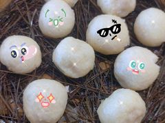 -佬钱湾仔(衣裳街店)