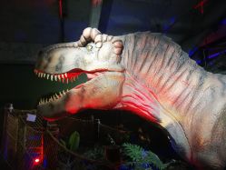 -恐龙探索乐园(磁器口店)