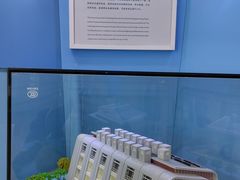 -中国杭州低碳科技馆