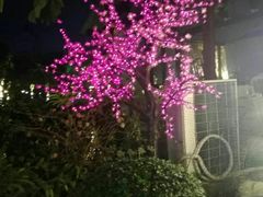 -西江印象酒楼