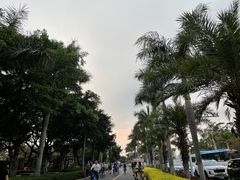 -集美学村