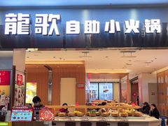 -龍歌自助小火锅(市南金茂湾店)