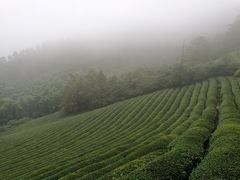 -敬亭山风景名胜区