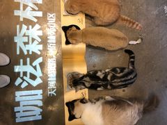 -咖法森林·咖啡  酒吧(天河店)