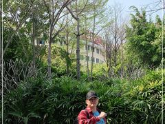 -灵玲国际马戏城