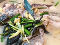 清水鱼-途中饭店(开化店)