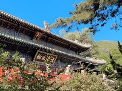 -潭柘寺景区