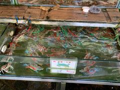 -钱大妈海鲜饭店(保利林语店)