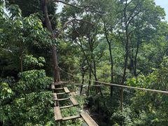 -芦仙山景区-飞越丛林探险乐园