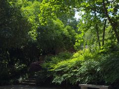 -杭州半山国家森林公园