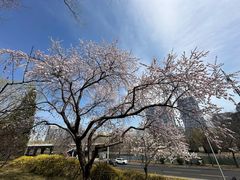 -玲珑塔公园
