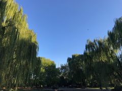 -玲珑塔公园
