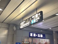 -威海大水泊国际机场