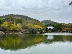 -白马涧龙池景区