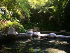 -三亚珠江南田温泉度假区