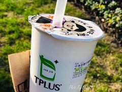 招牌芋圆鲜奶茶-TPLUS茶家(淮海店)