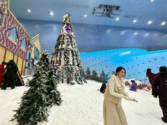 -广州热雪奇迹