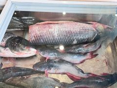 -老刘生态大鱼坊铁锅炖鱼(赛马场店)