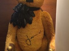 -济州岛泰迪熊博物馆