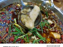 -乡土特色.冷锅鱼.牦牛肉汤锅