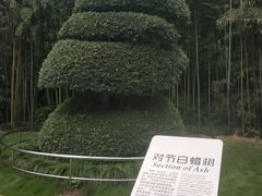 -苏州河梦清园环保主题公园