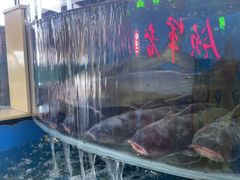 -屯老二农家铁锅炖·行业领军者(梅江店)