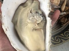 -鼓歌海鲜舫·手抓海鲜(大学城店)