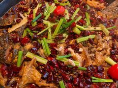 -老板恋上鱼(印象城店)