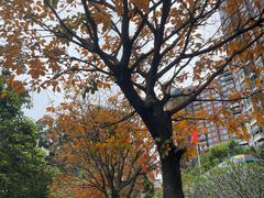 -坂田(地铁站)