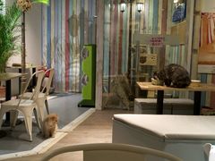 -小时光咖啡馆(开森度假森林店)