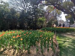 -无锡梅园公园