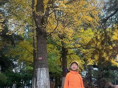 -辽宁大学(崇山校区)