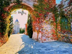 -大连海昌发现王国主题公园