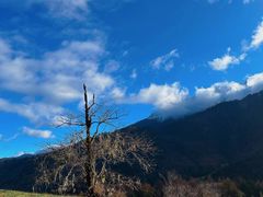 -硗碛藏寨·神木垒景区