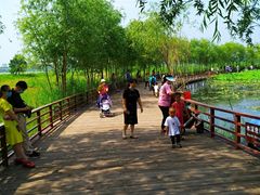 -绿堤公园