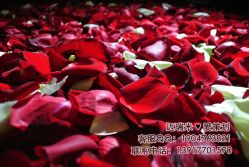 点击看大图 -迈瑞米求婚策划(静安店)