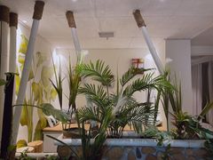 -北里·4k影院式足疗SPA馆(观音桥店)