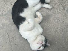 -星巴克(南京老门东店)