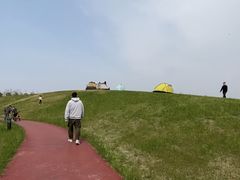 -春花秋色城市公园