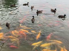-中国农业博物馆