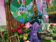 -荷塘月色湿地公园·向阳花洲