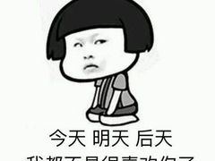 -东北铁锅炖