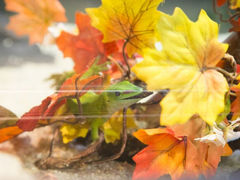 android_upload_pic-屯门公园