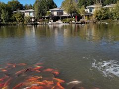 -春晖园度假酒店温泉