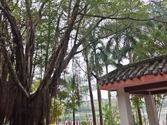 -南宁南湖公园