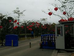 -聚龙山公园