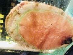 -金唐海鲜酒家