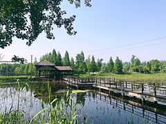 -微山湖红荷湿地景区