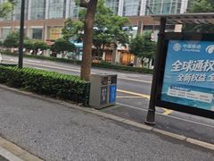 -杨氏青龙虾·羊蝎子(珠江路店)